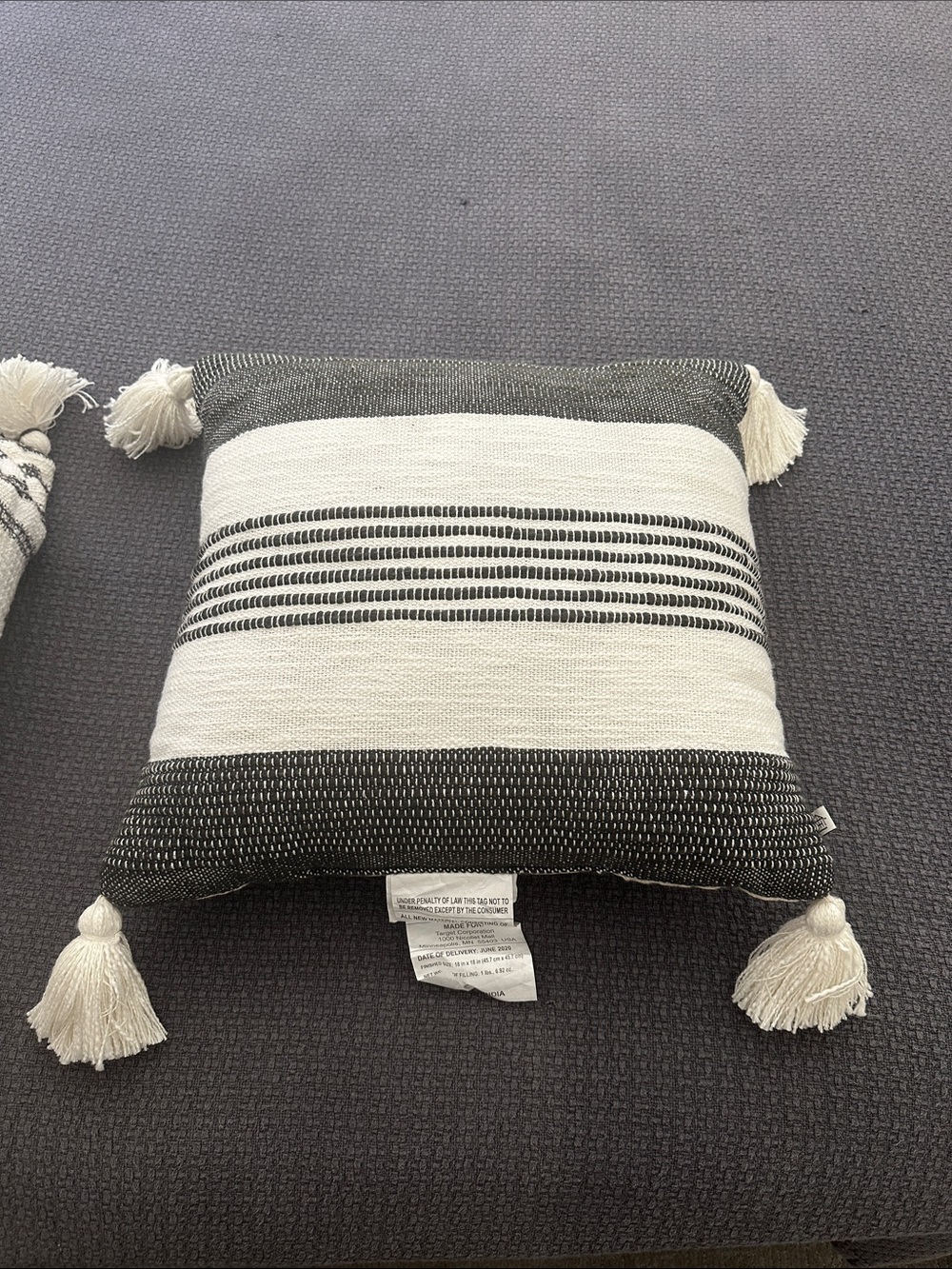 Hearth & Hand with MagnoliaDecorative Black and White Striped Tassel pillow. NWT
